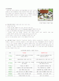 환경문제 환경문제의 원인 여러 종류의 환경오염과 현황 4페이지