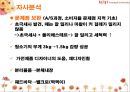 [경영학원론]한경희스팀청소기의 경영전략 및 성공요인 분석 32페이지