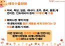 [경영학원론]한경희스팀청소기의 경영전략 및 성공요인 분석 59페이지