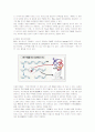 [식품미생물학]DNA의 구조와 RNA의 구조와의 차이점에 대하여 8페이지
