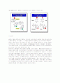 [식품미생물학]DNA의 구조와 RNA의 구조와의 차이점에 대하여 10페이지