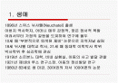피아제의 인지발달이론 2페이지