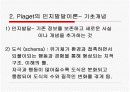 피아제의 인지발달이론 4페이지
