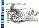 독일의 표현주의영화 발표자료 ppt 각종영화사진 16페이지