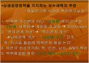 독일 통일로 살펴본 한국의 대북정책 14페이지