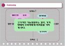 댕기머리 샴푸 기획서 17페이지