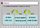 댕기머리 샴푸 기획서 20페이지