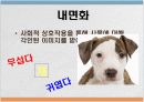비고츠키 사회 문화이론 6페이지