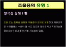 조울증-양극성장애 ppt 3페이지