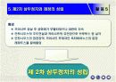로마 삼두정치의 성립과 의의 17페이지