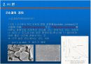 소결(slip casting) 6페이지