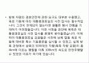 2007 남북정상회담 경호분석 3페이지