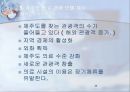 제주도의 의료관광 고찰 35페이지