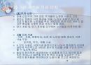 제주도의 의료관광 고찰 36페이지