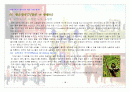 영국 여행 기획서 22페이지