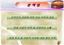 제주서부지역 관광홍보기획서 5페이지