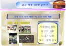 제주서부지역 관광홍보기획서 9페이지