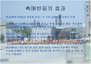 촉매에 의한 반응 2페이지