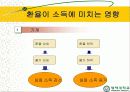 환율변동이 경제에 미치는 영향 7페이지