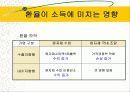 환율변동이 경제에 미치는 영향 9페이지