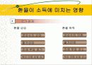 환율변동이 경제에 미치는 영향 10페이지