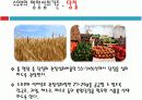 [생애주기 영양학] 수유부의 영양섭취기준과 식사지도 9페이지