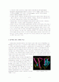 광우병 (소해면상뇌증:BSE) (Bovine spongiform encephalopathy) 2페이지