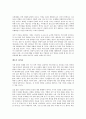 (독서감상문) 두바이 CEO의 창조경영을 읽고 3페이지