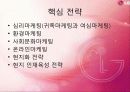 LG전자 UAE 진출 성공 사례 18페이지