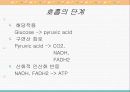 물질대사와 해당작용 6페이지