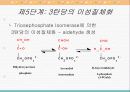 물질대사와 해당작용 12페이지