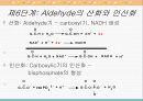 물질대사와 해당작용 13페이지