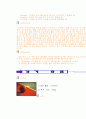 농구의 모든것 (유래, 역사, 규칙, 시설, 심판, 반칙, 용품, 용어)에 대해서 조사했습니다. 14페이지
