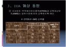 FTAㆍDDA 추진 동향과 전망 11페이지