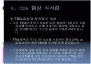 FTAㆍDDA 추진 동향과 전망 13페이지