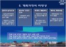행정중심복합도시 계획의 평가 11페이지