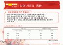 신라면 마케팅전략 12페이지