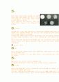 세팍타크로의 모든것 (유래, 역사, 규칙, 시설, 심판, 반칙, 용품, 용어)에 대해서 조사했습니다. 9페이지