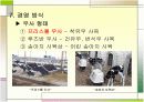 낙농 사업 계획서(목장 설계) 12페이지