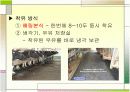낙농 사업 계획서(목장 설계) 13페이지