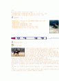 승마의 모든것 (유래, 역사, 규칙, 시설, 심판, 반칙, 용품, 용어) 7페이지