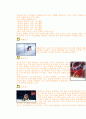 스키의 모든것 (유래, 역사, 규칙, 시설, 심판, 반칙, 용품, 용어) 6페이지