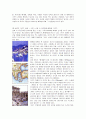 크루즈(Cruise)산업의 현황과 관련 상품개발 8페이지