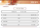 삼성전자 애니콜(ANYCALL)의 마케팅전략 21페이지