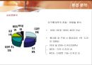 삼성전자 애니콜(ANYCALL)의 마케팅전략 24페이지