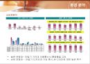 삼성전자 애니콜(ANYCALL)의 마케팅전략 25페이지