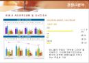 삼성전자 애니콜(ANYCALL)의 마케팅전략 27페이지