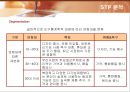 삼성전자 애니콜(ANYCALL)의 마케팅전략 29페이지