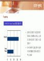 삼성전자 애니콜(ANYCALL)의 마케팅전략 30페이지