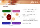 삼성전자 애니콜(ANYCALL)의 마케팅전략 33페이지